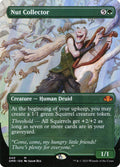 Nut Collector — Dominaria Remastered #440